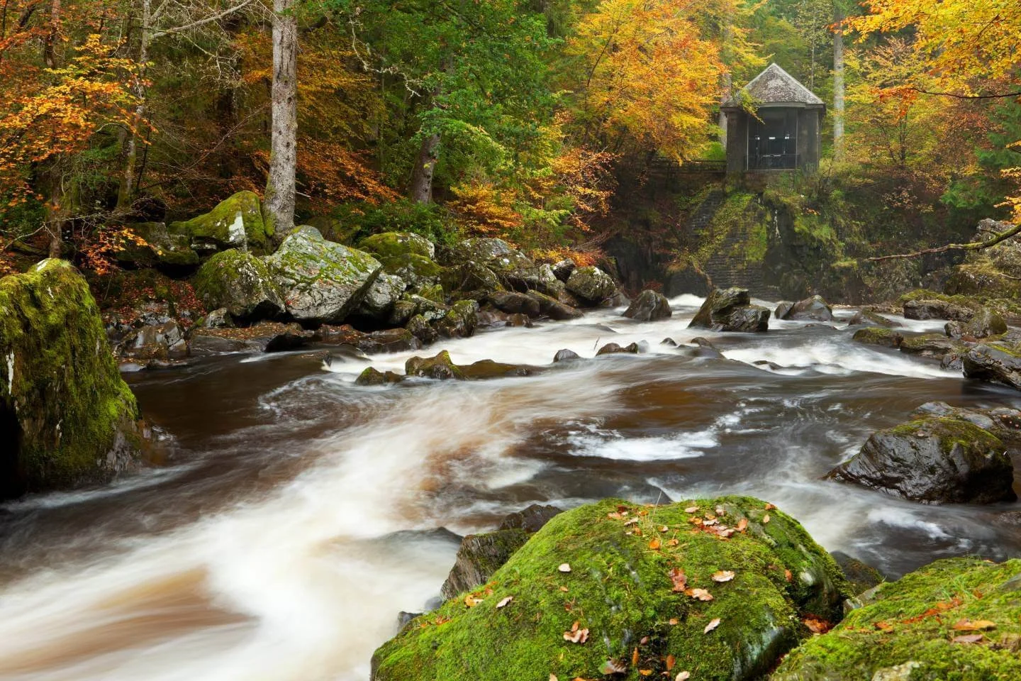 The Hermitage woodland near Dunkeld