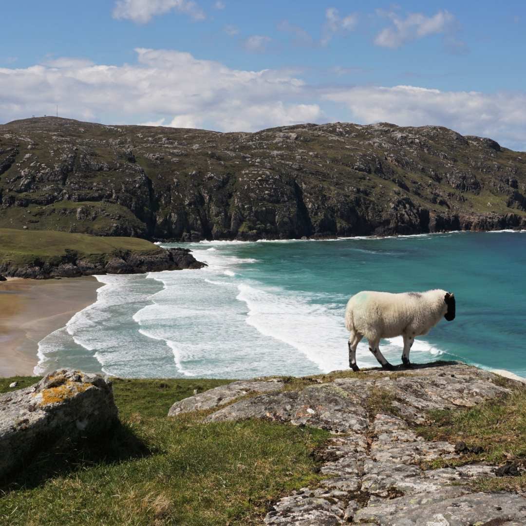 Famous Scots (living and dead) — and the places that shaped them