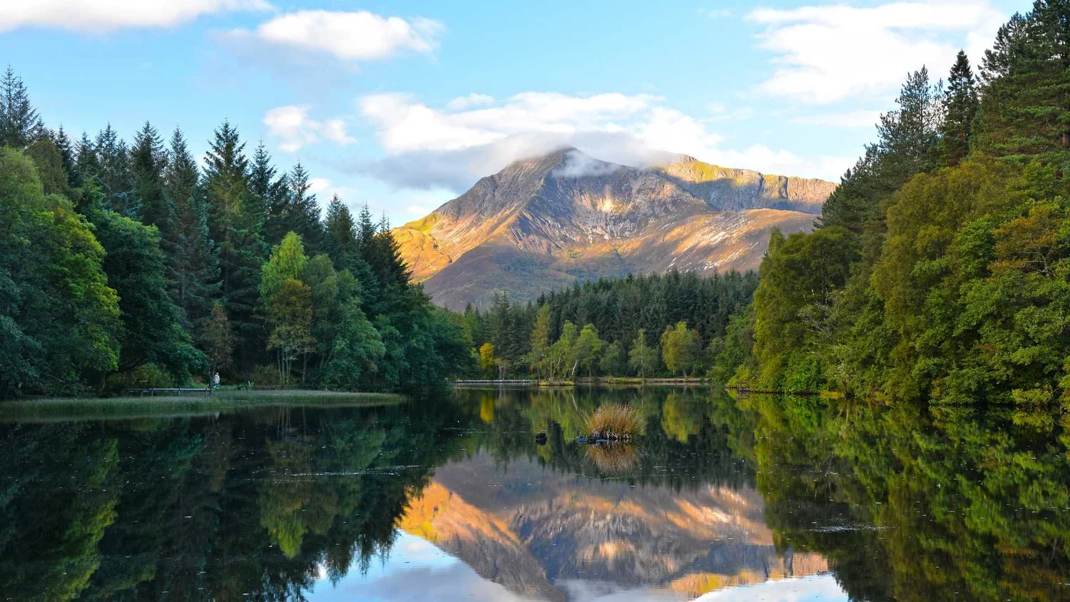 Peaceful Highland lochan surrounded by forest and mountains