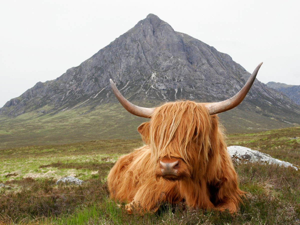Carte Des Highlands D'Écosse - Édition 2020 - Carte Touristique Et De Loisirs Détaillée
