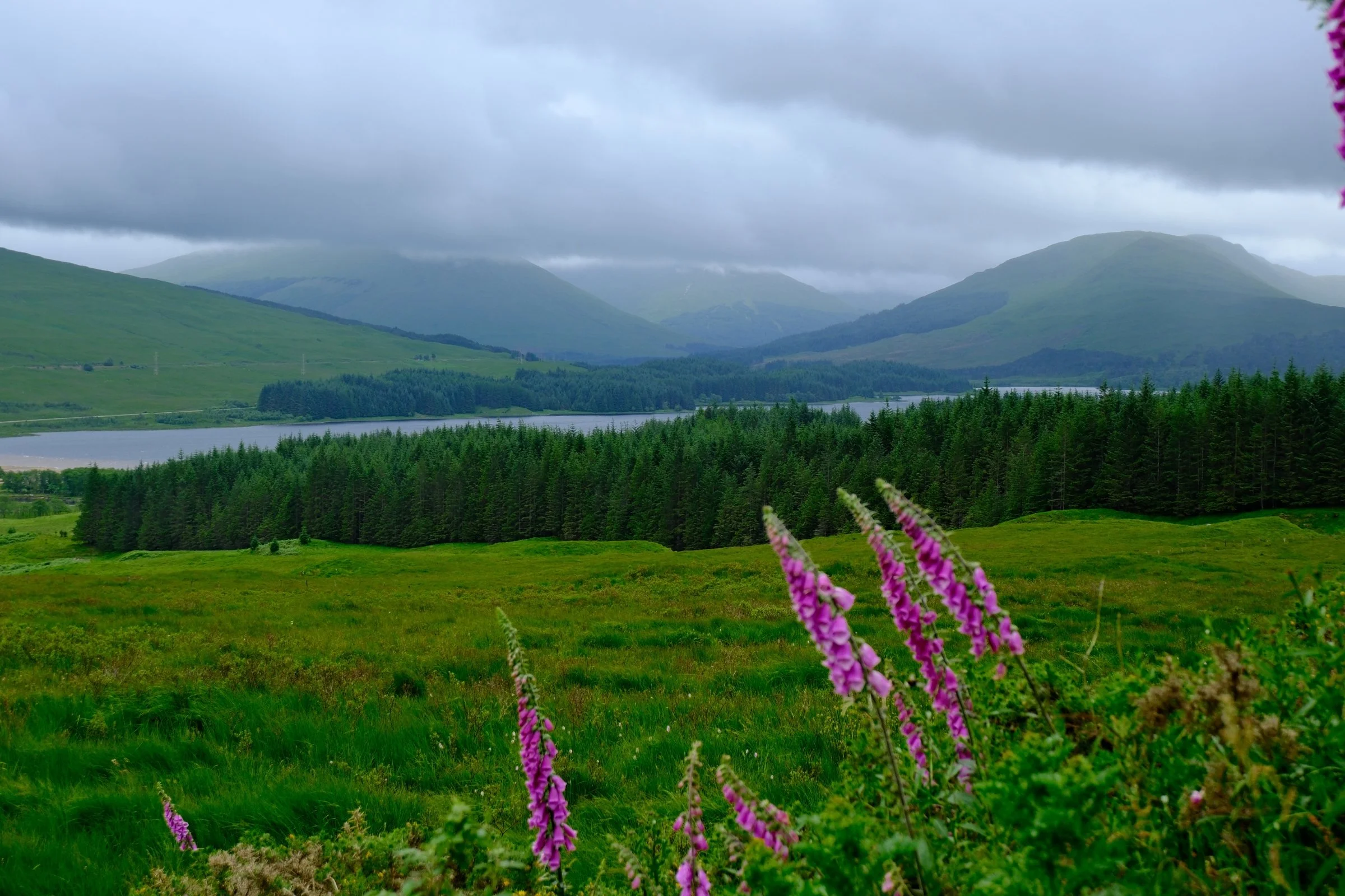 Green landscape in the Scottish Highlands