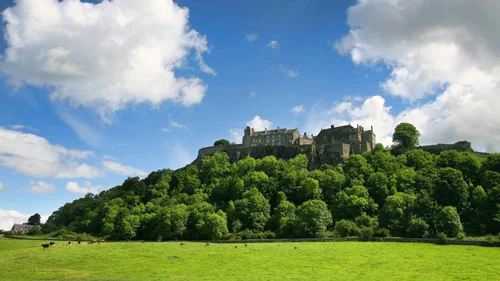 Stirling Castle on its wooded hill above a green field