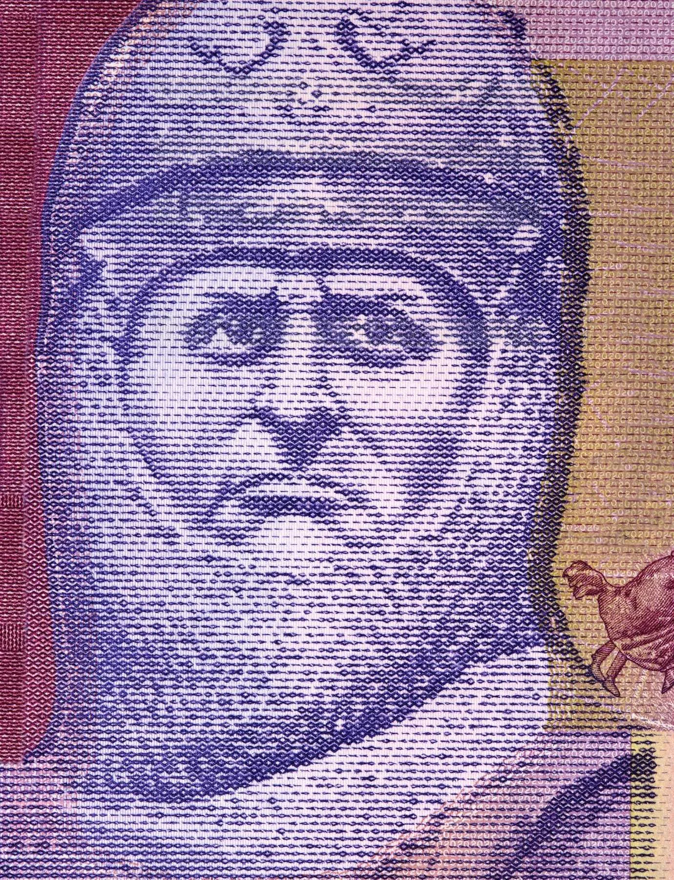 Portrait of Robert the Bruce, fearless King of Scotland