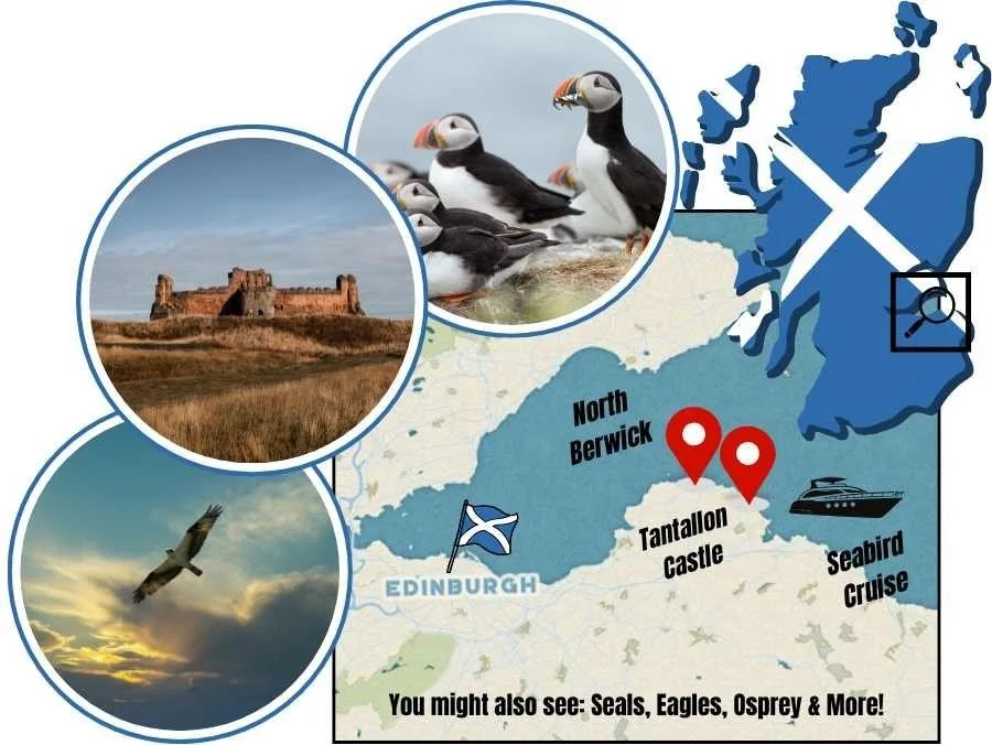 Scotland's Wild Puffin Boat Trip route map showing Edinburgh, North Berwick, Tantallon Castle and the seabird cruise
