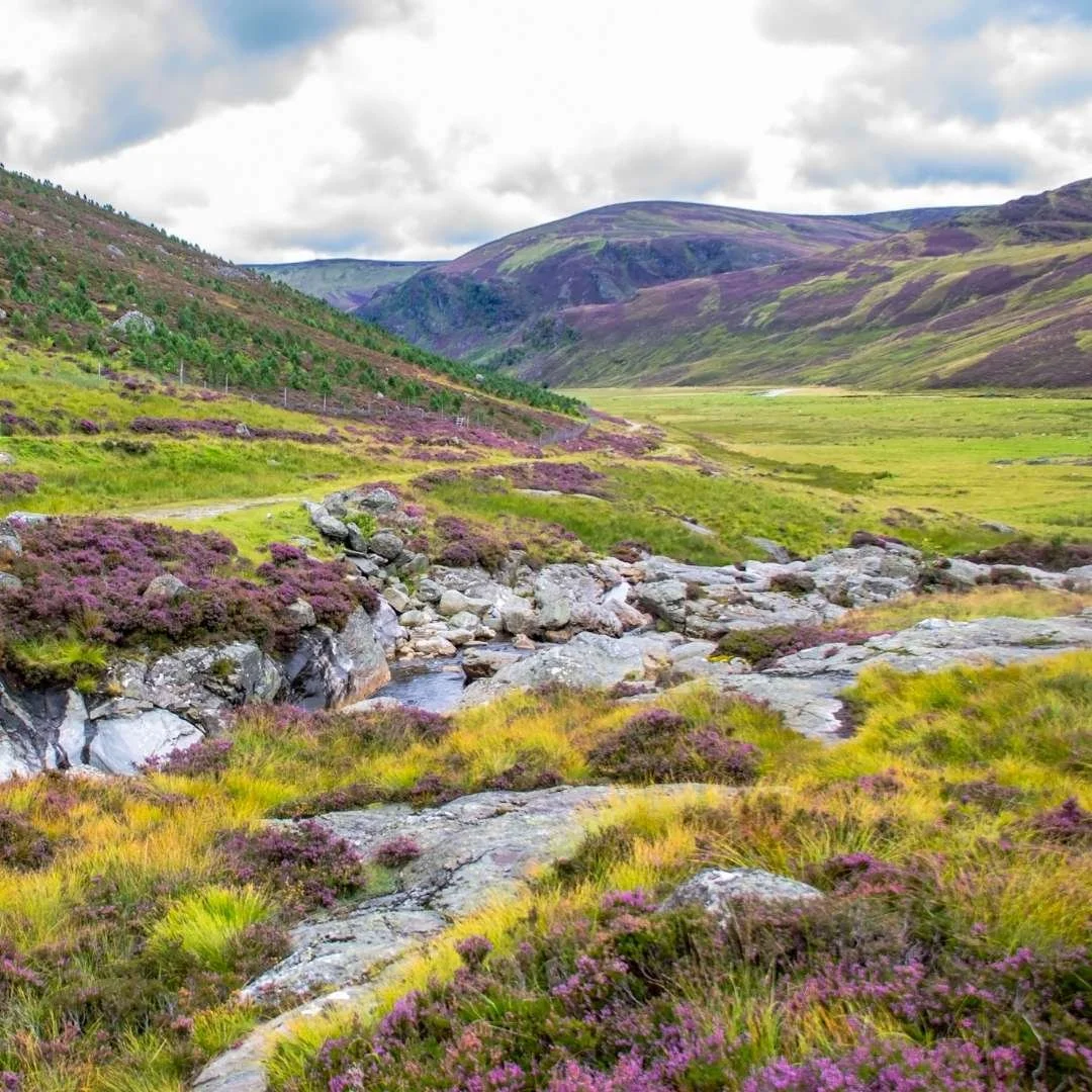 Simple Scotland Scotland Explained: Landscapes, Cities, Culture and Travel