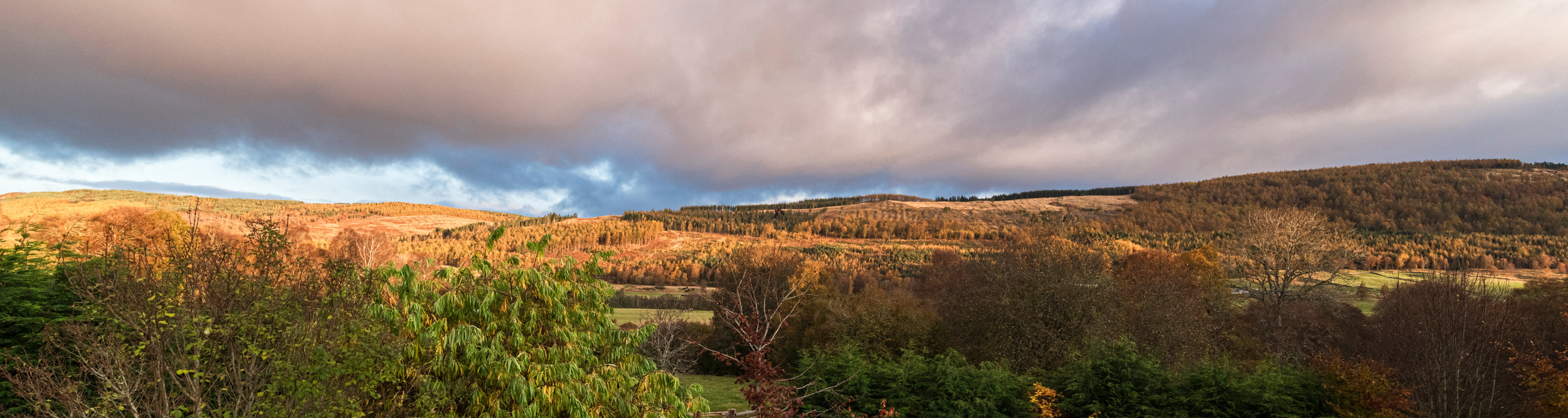 Explore the Beauty of Perthshire, Scotland