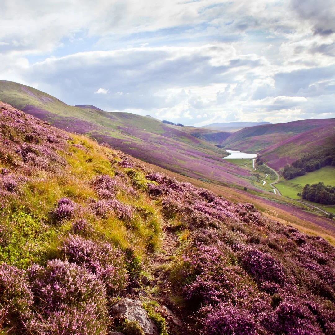 When to Visit Scotland: Best Time to Go by Season
