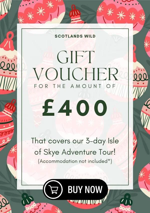 A holiday-themed gift voucher for Scotia WILD offering a £400 experience cover for a Skye Adventure Tour, excluding accommodation, with a Christmas ornament background.