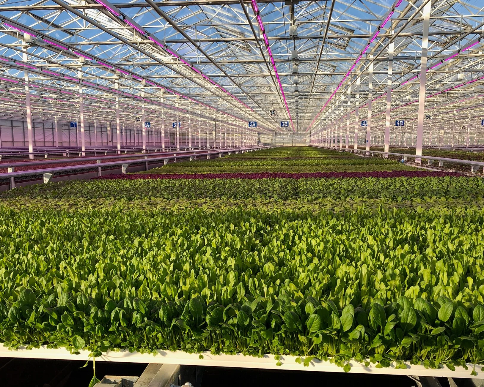 Indoor Agriculture Careers — Greenswell Growers