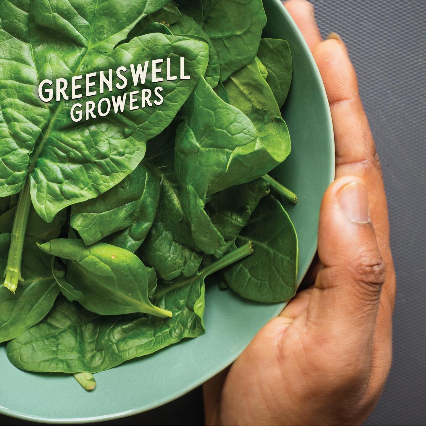 This is what combining a passion for local, sustainable practices, and innovative technology looks like! Follow our progress as we produce over 3 million pounds of leafy greens for distribution in the mid-Atlantic in the next three years. greenswellg