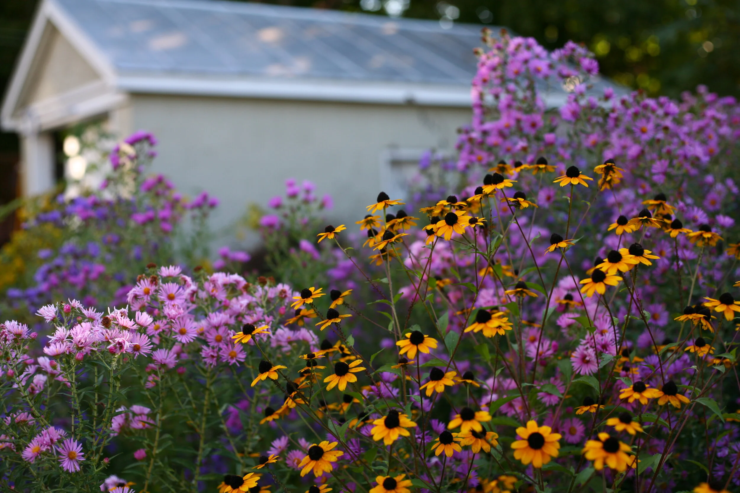 Living Landscapes The Natural Garden Inc