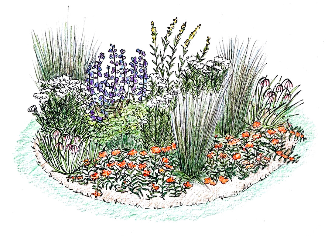 Pollinator Garden Habitat Concept Sketch (Dry Sun) — The Natural