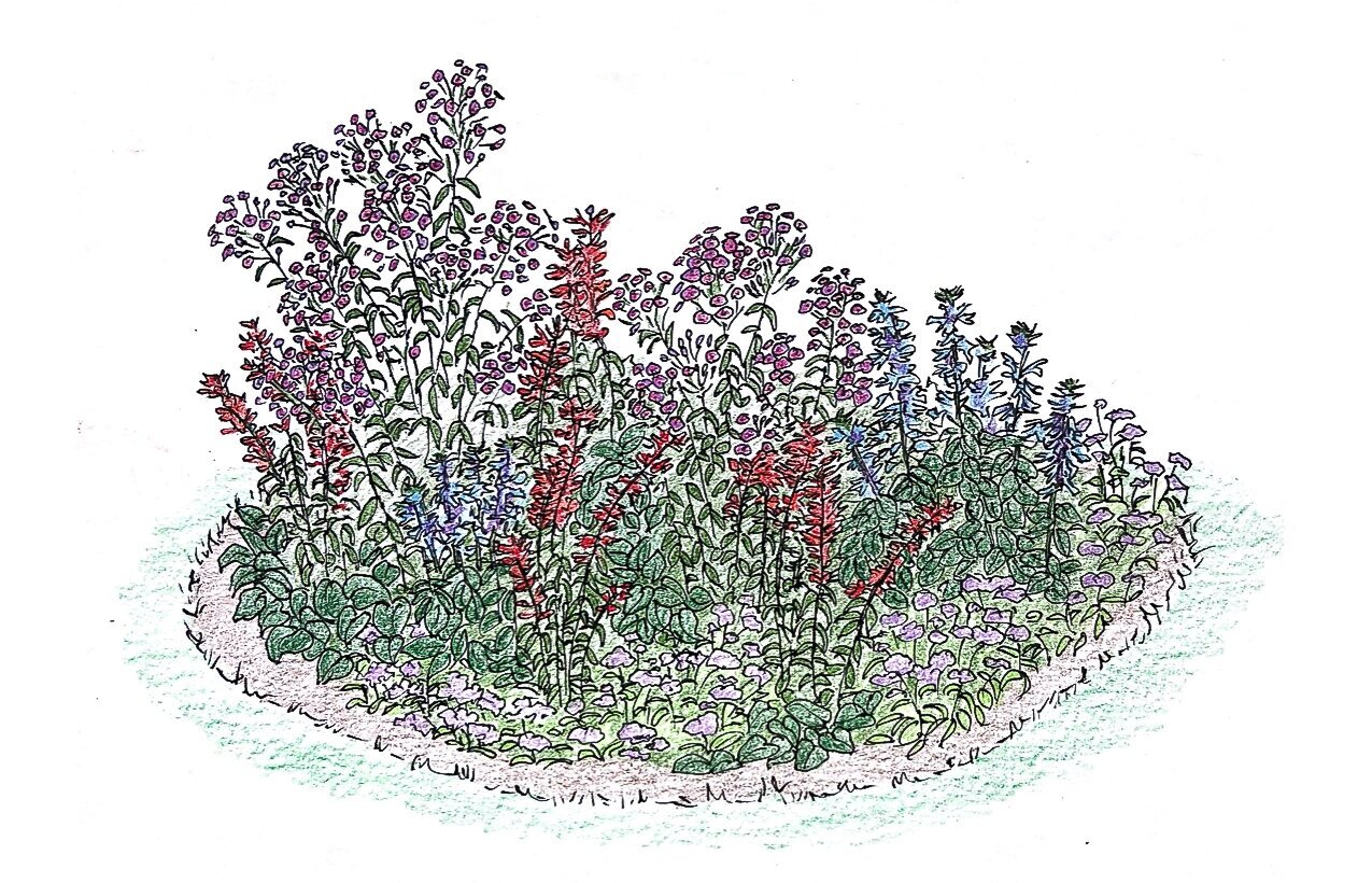 Moist+Shade+Habitat+Pack+concept+sketch+by+Elise-3.jpg