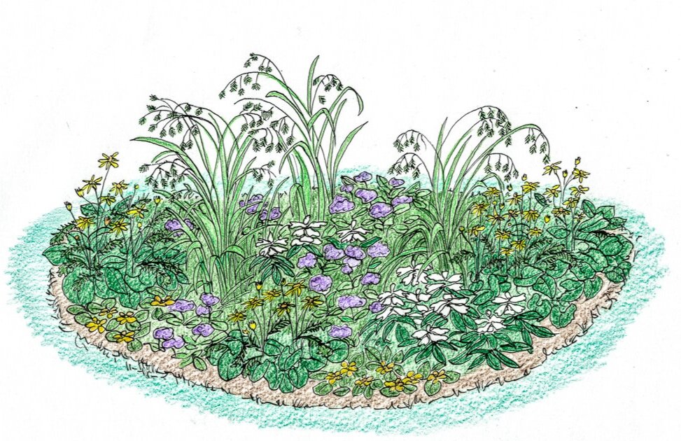 Moist+Shade+Perspective+drawing+color+corrected.jpg