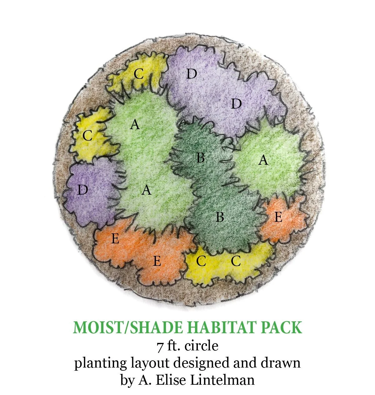 4+by+9+MOIST+SHADE+PLANTING+LAYOUT+rack+card.jpg