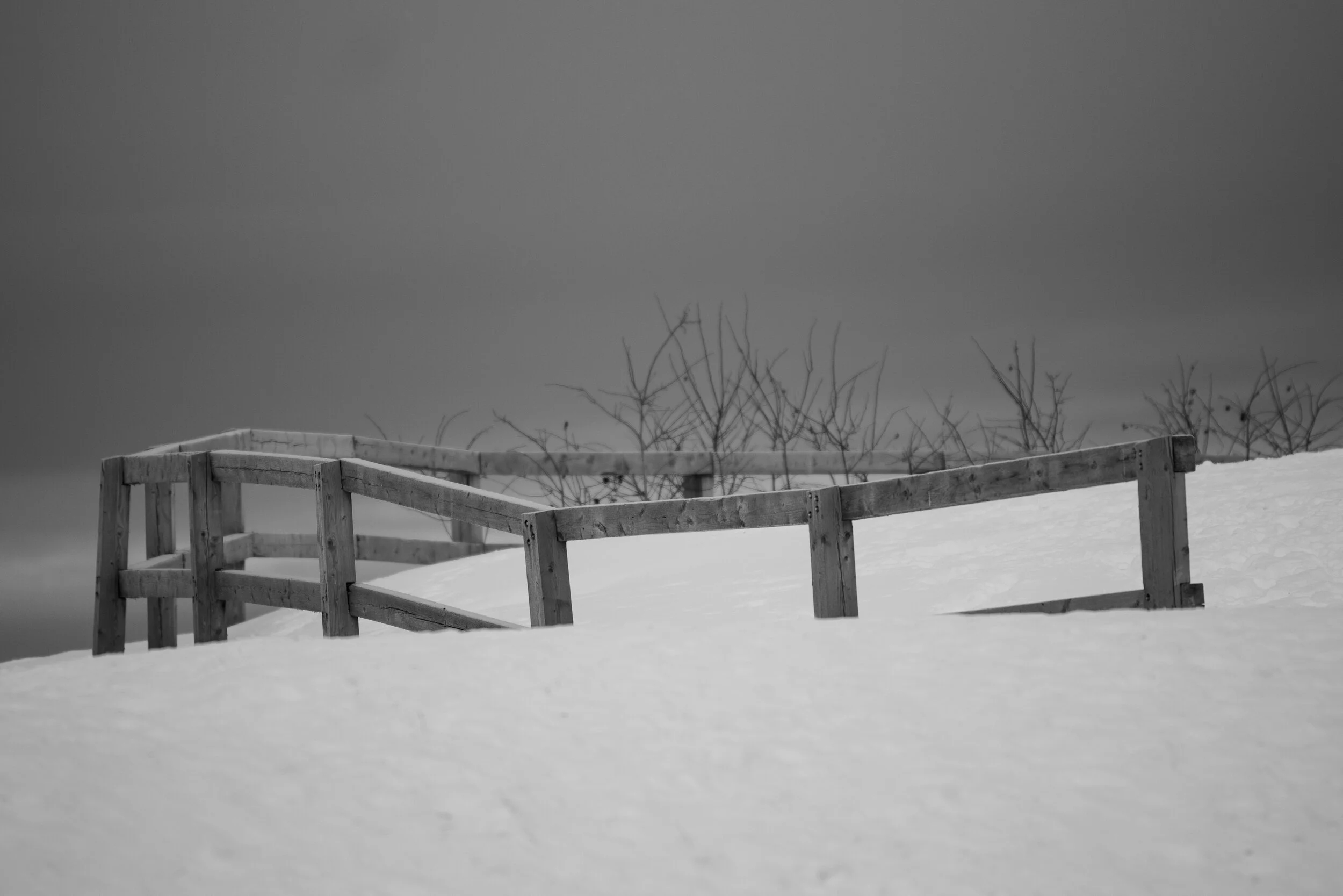 Libraries Between the State and the Multitude