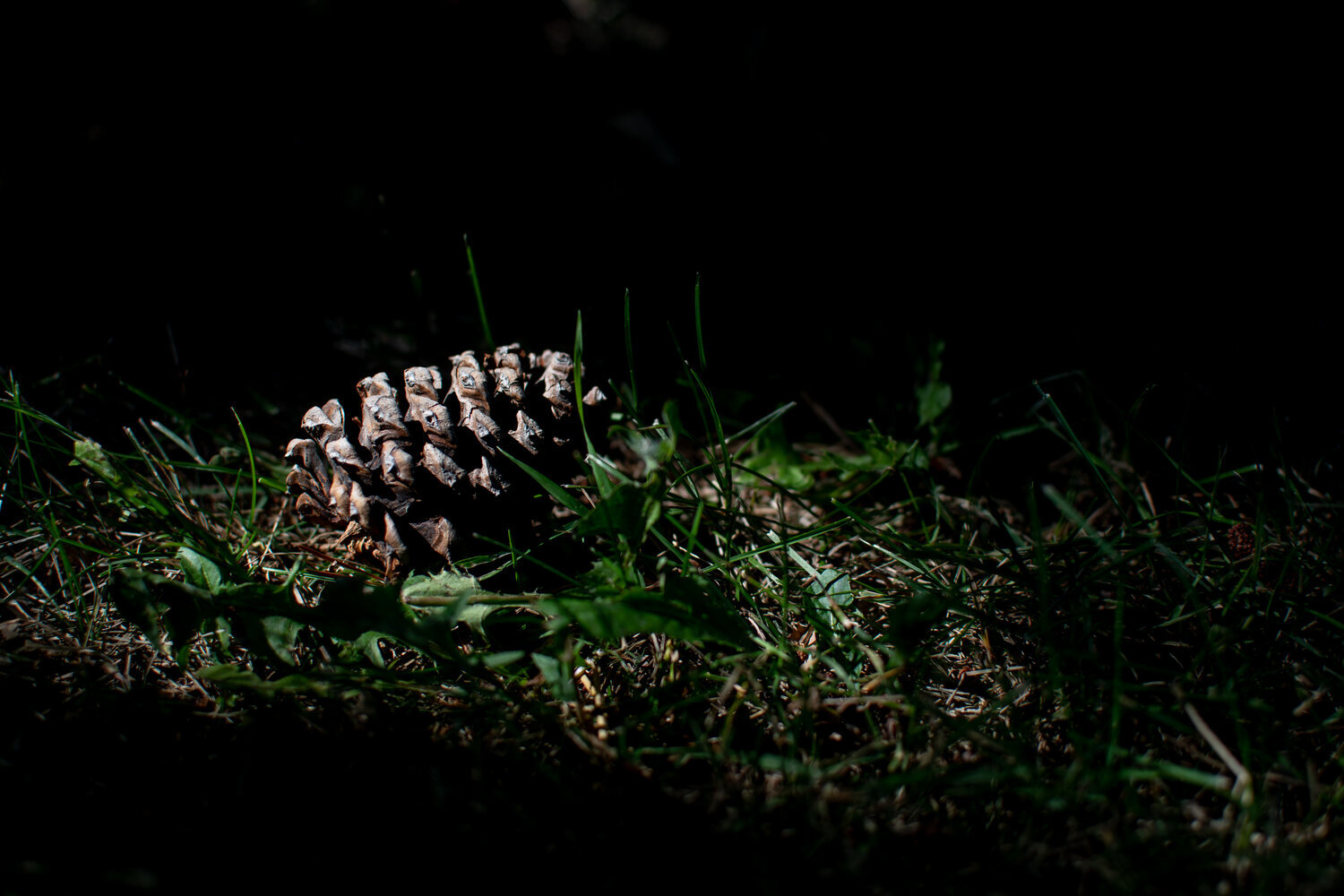 Intellectual Freedom: Value or Concept?