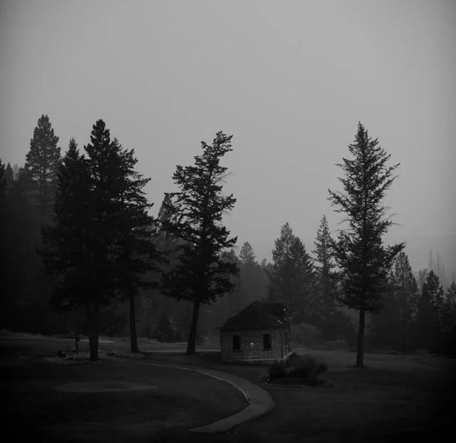 Irreversible Damage? Part One