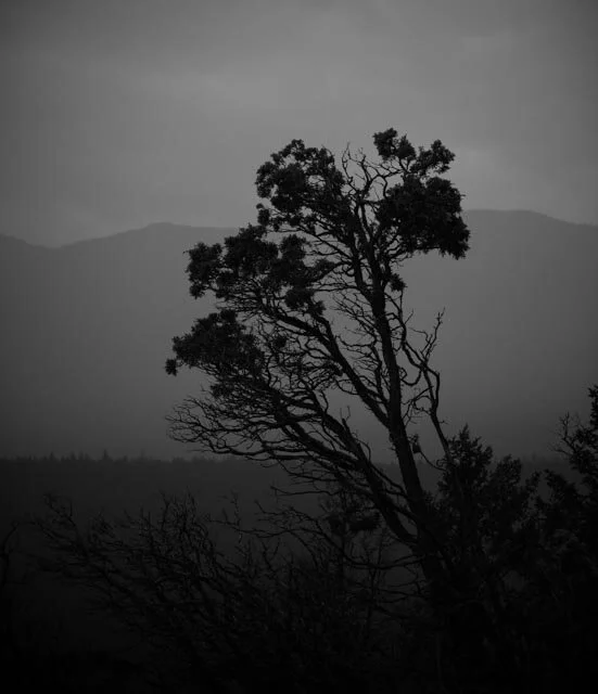 Irreversible Damage? Part Two
