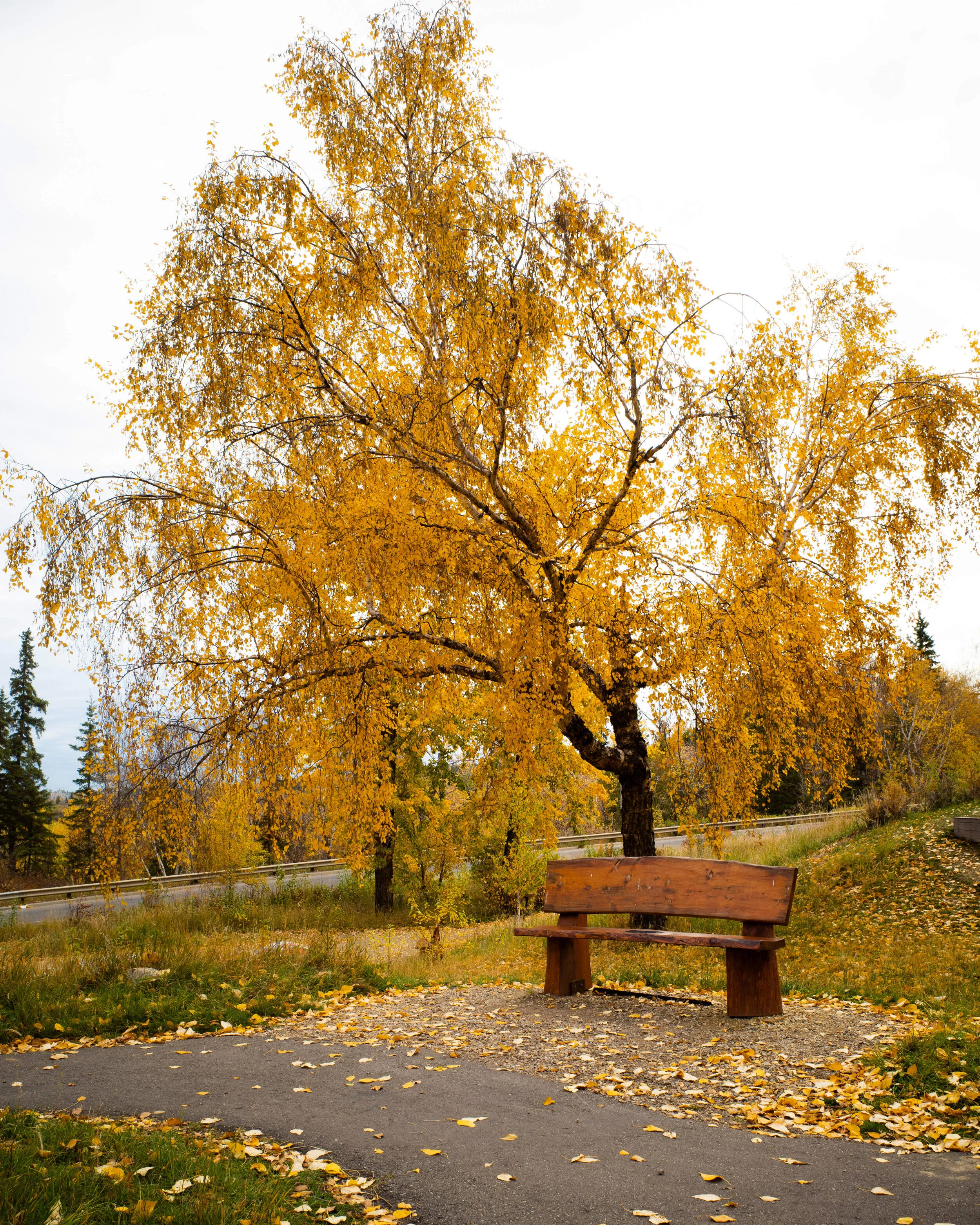 The Trouble with Intellectual Freedom, part one.