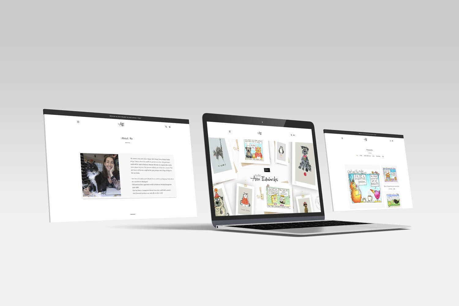 Redesign website artist Ann Edwards