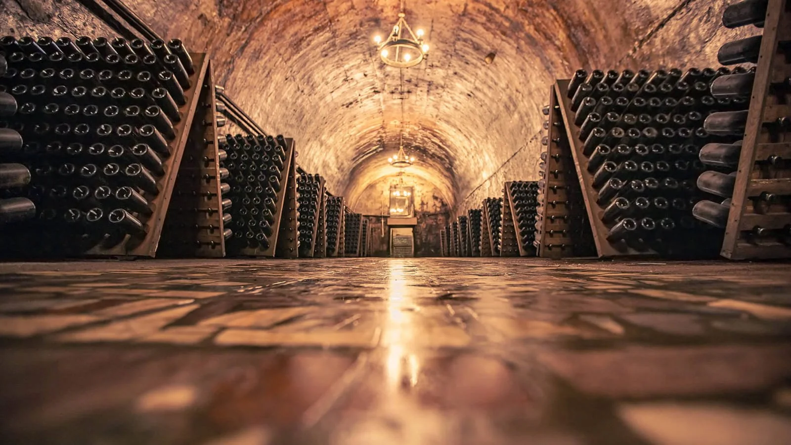 Soil Series II: Chalky Soils of Champagne