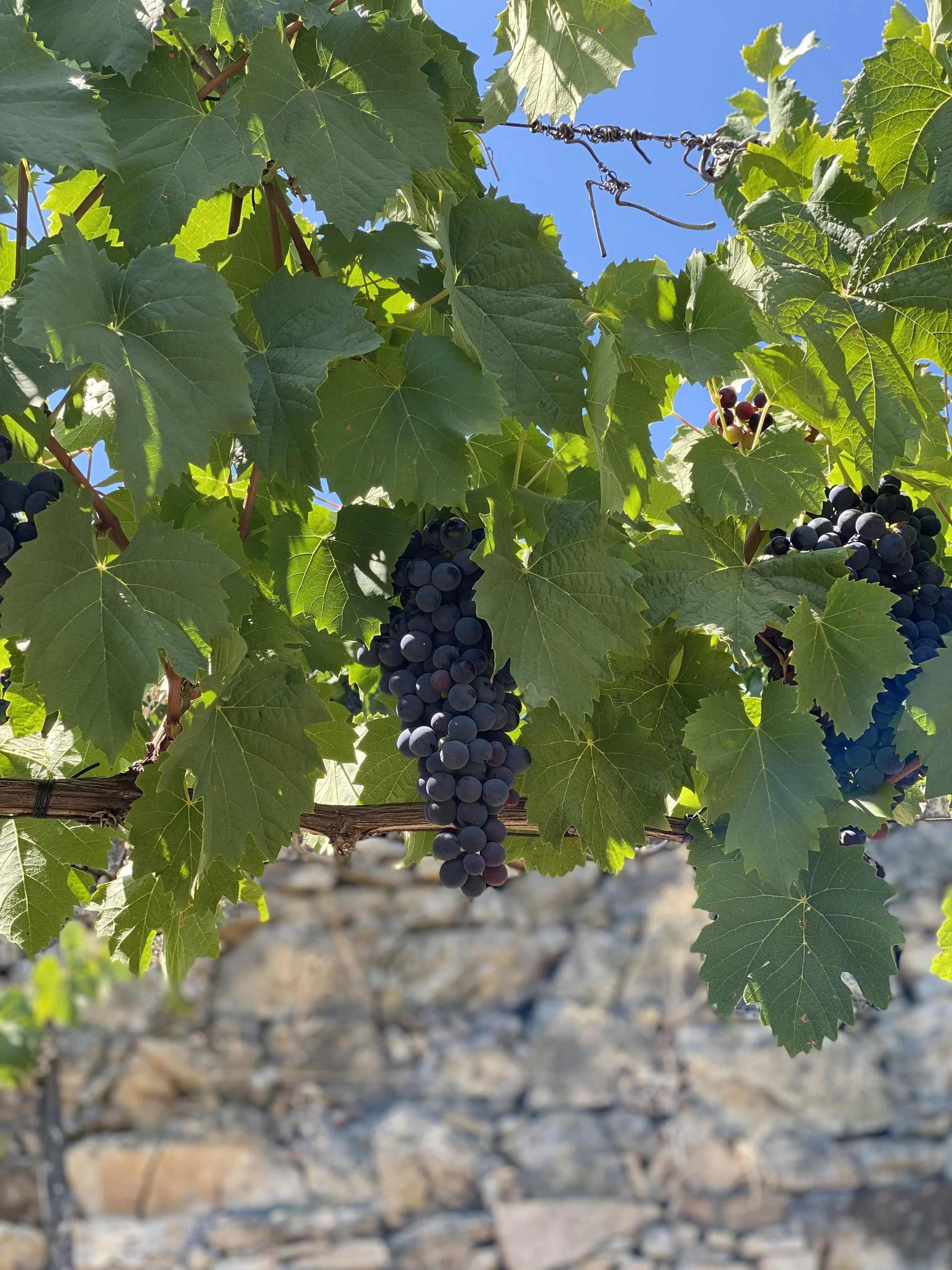 Soil Series IV: Slate