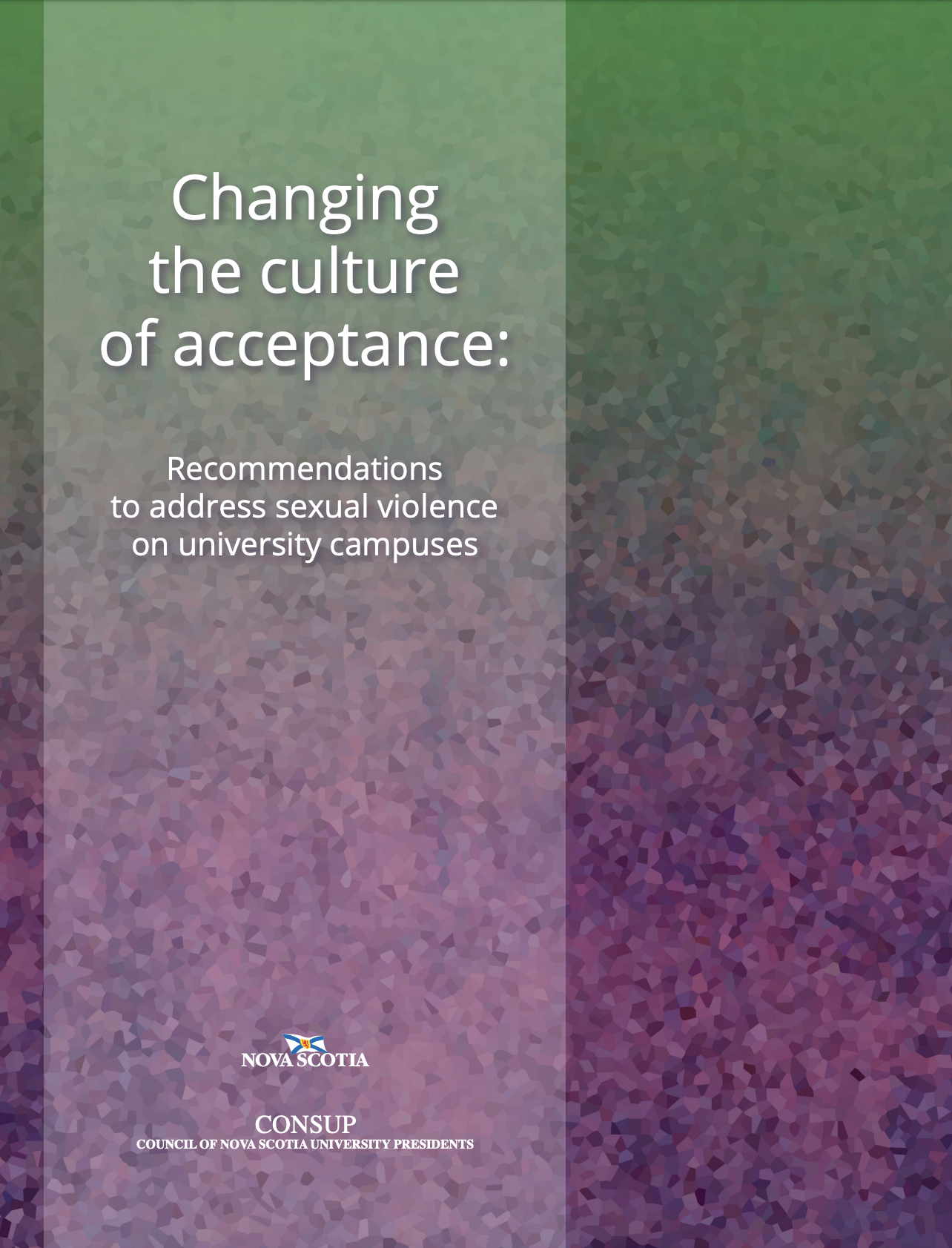 Recommendations to Address Sexual Violence on University Campuses in Nova Scotia