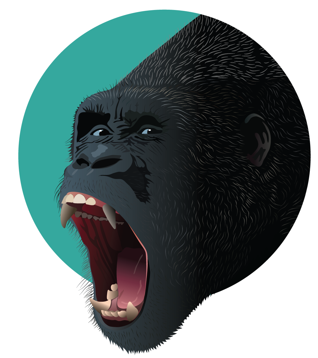 ANIMALS-GORILLA.png