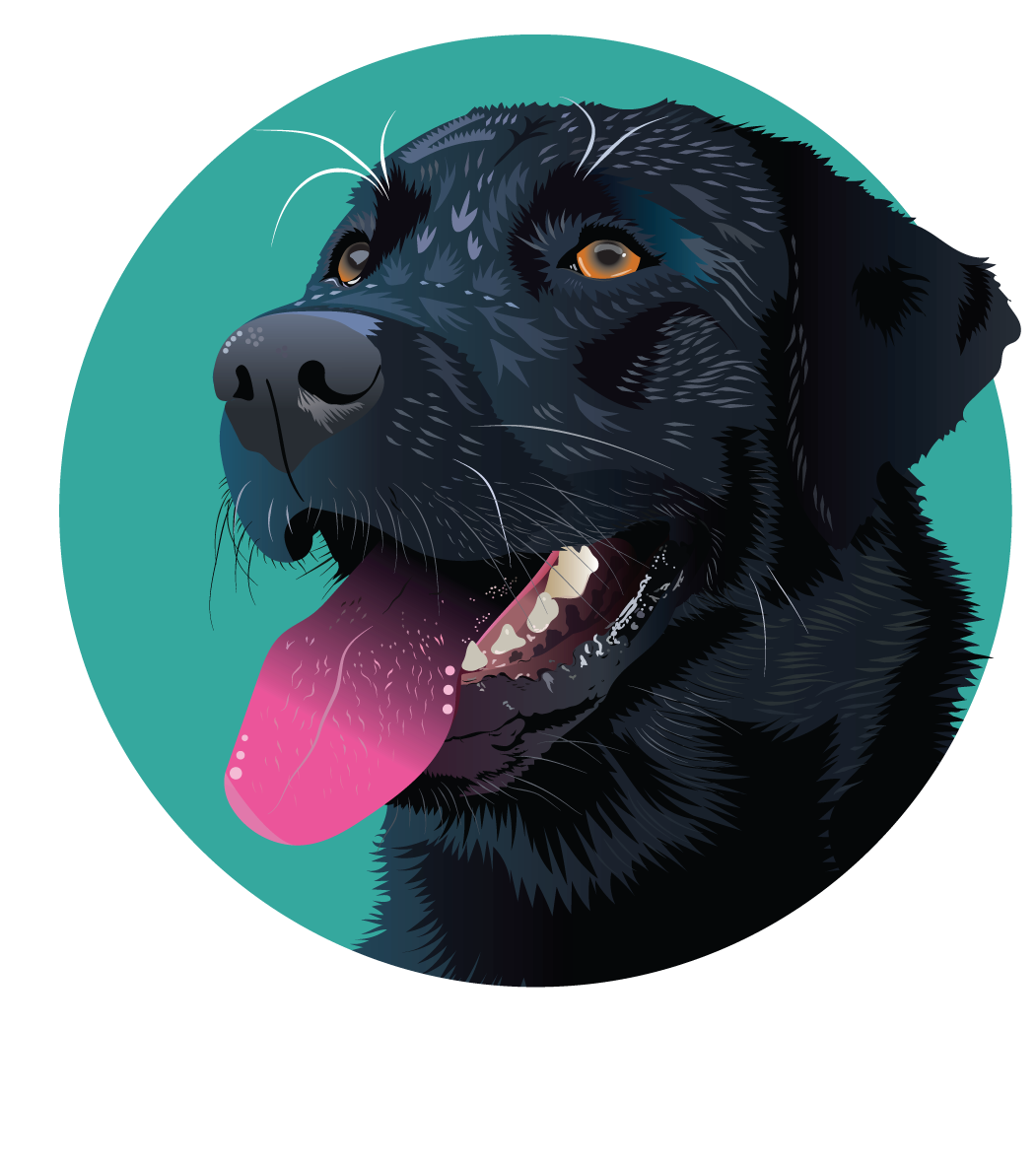 ANIMALS-LABRADOR.png