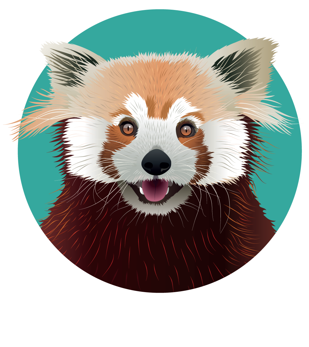 ANIMALS-REDPANDA.png