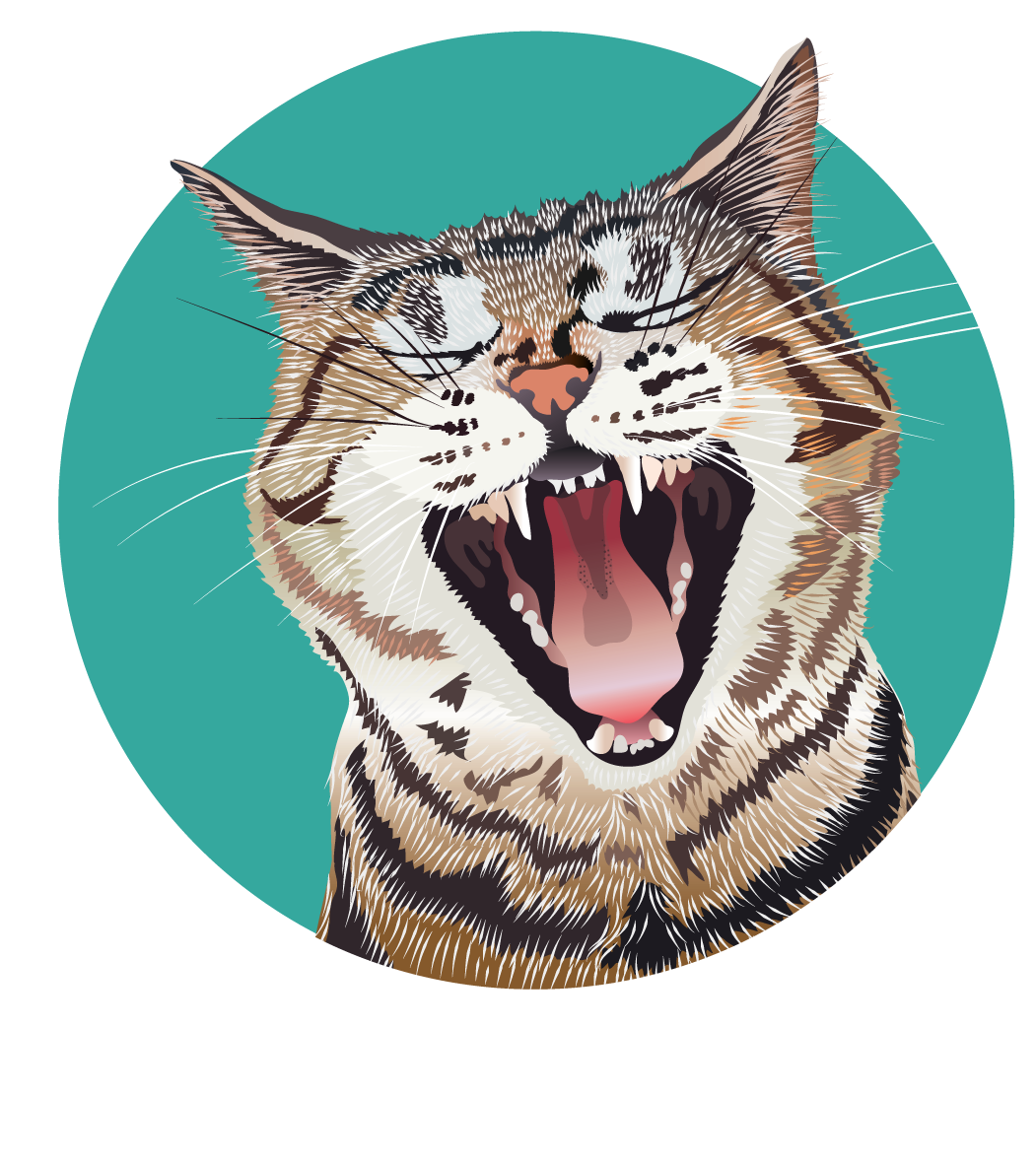 ANIMALS-TABBY-YAWNING.png