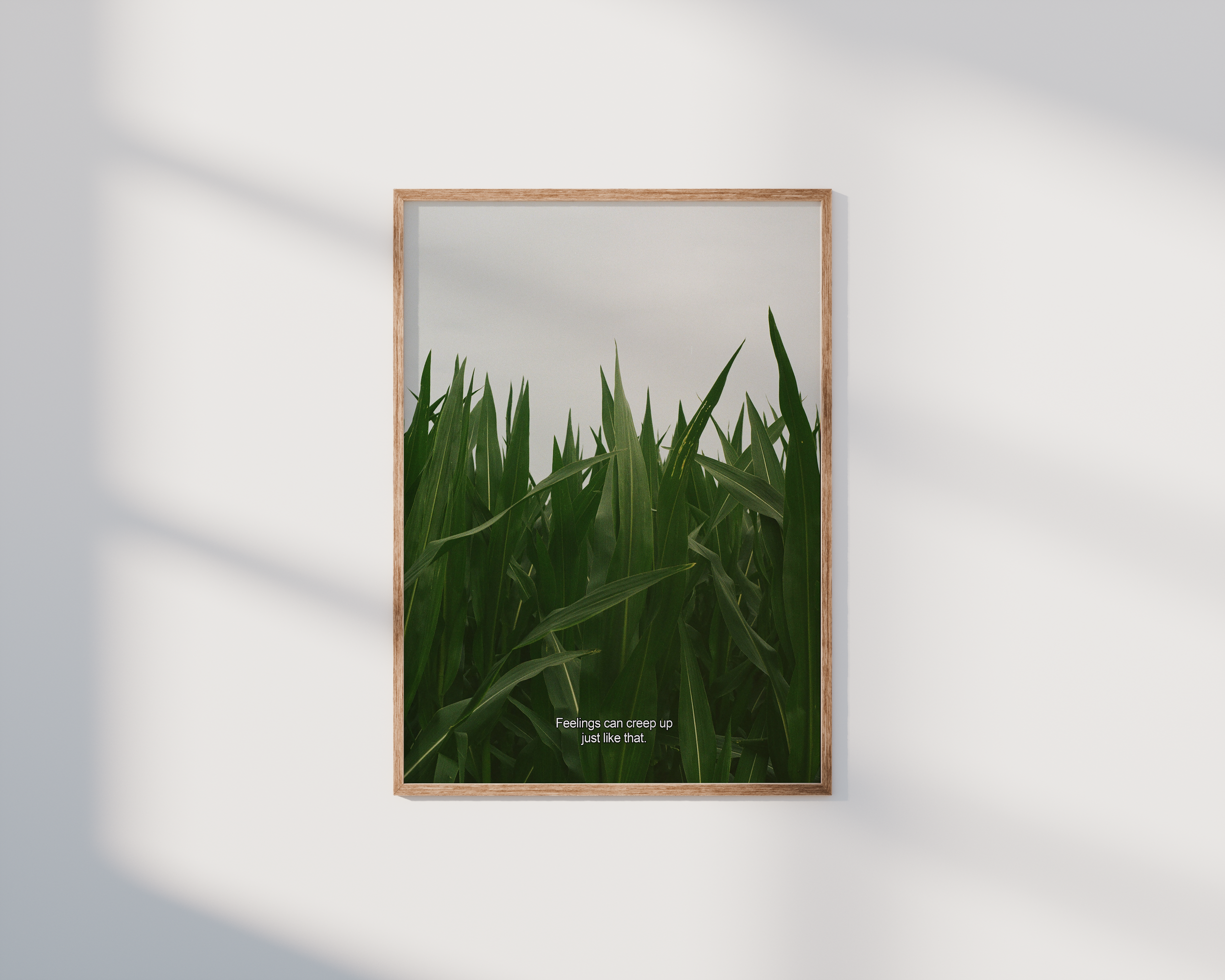 Corn.png