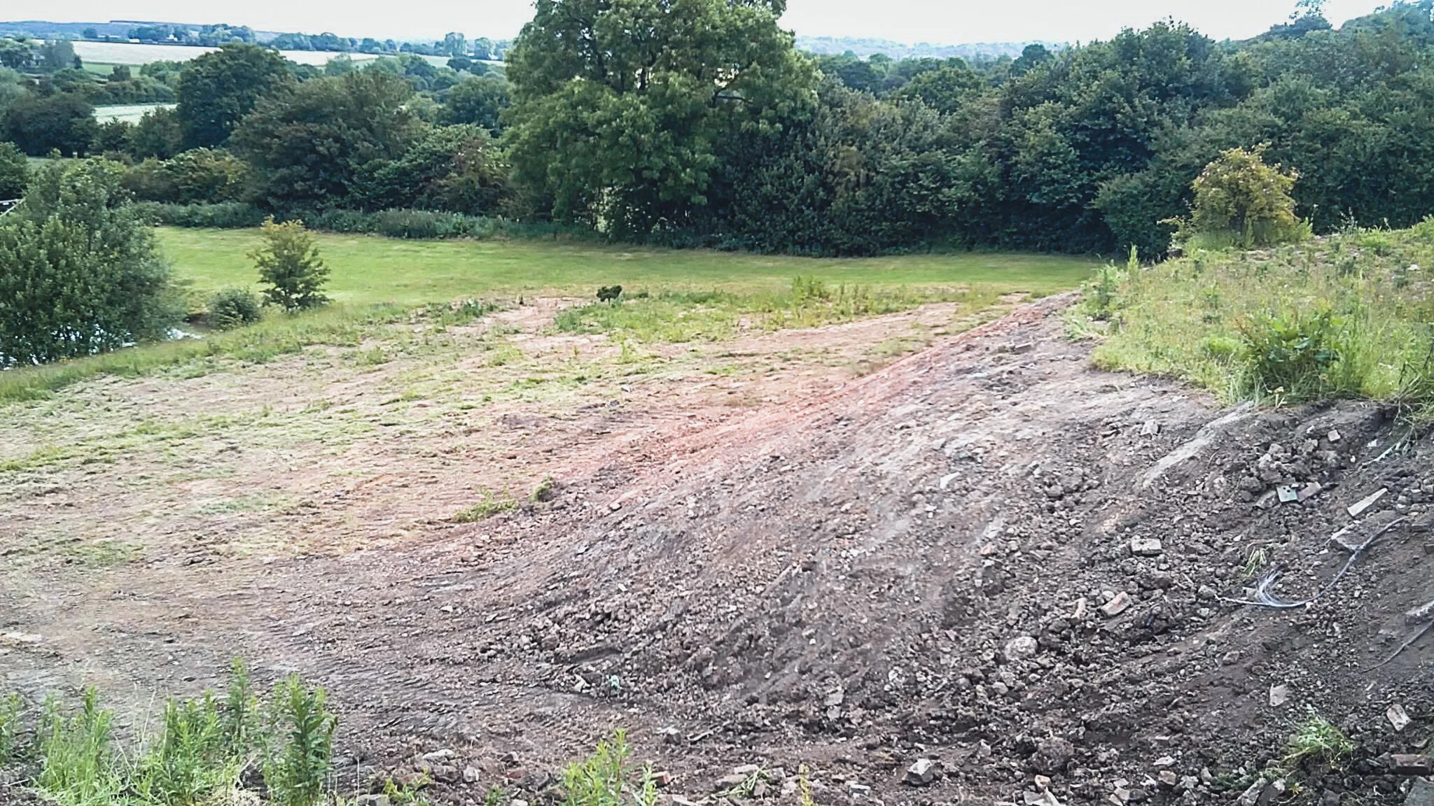 Dirt path in a grassy field with trees and bushes in the background.