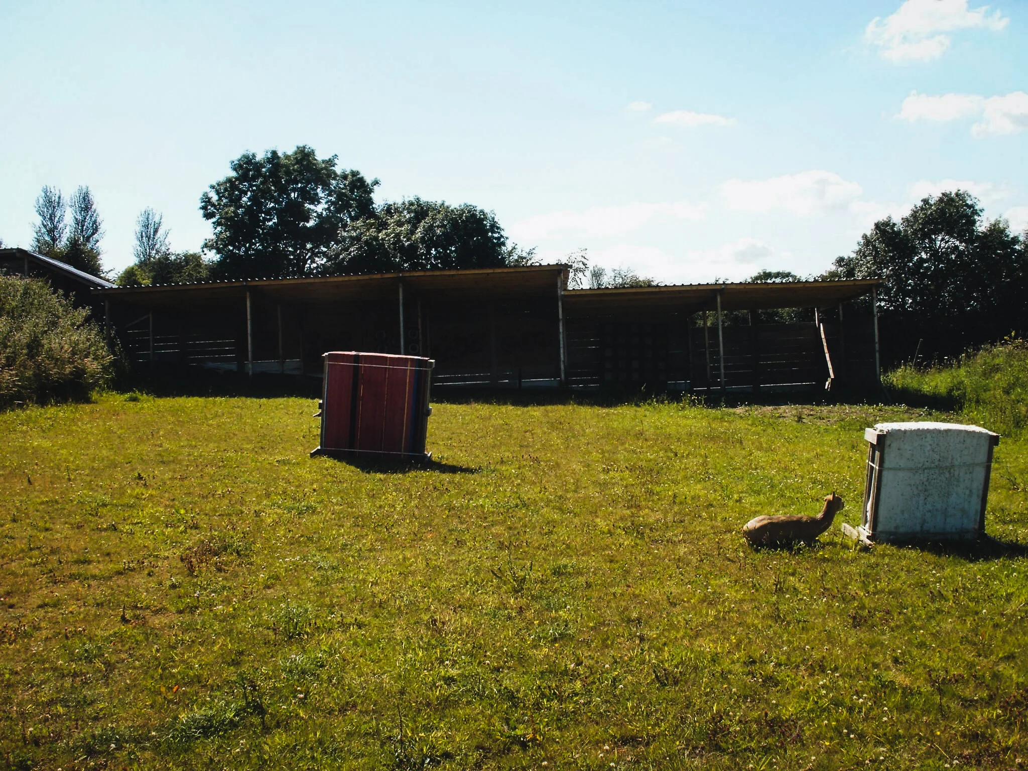 A grassy field with a small brown animal lying on the grass, surrounded by two old washing machines and a brick structure, with trees and a covered wooden shed in the background under a partly cloudy sky.