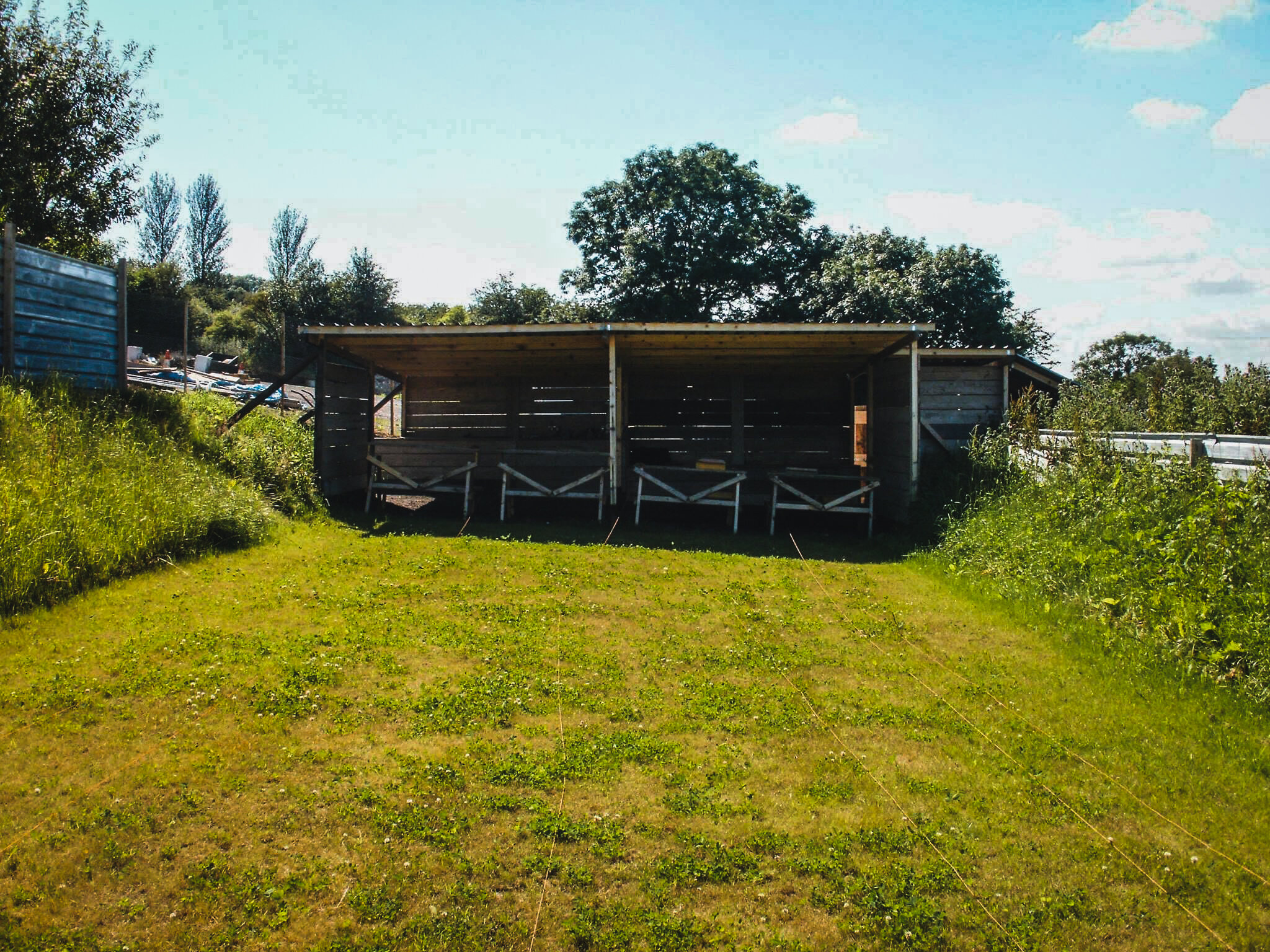A grassy yard with a wooden shed on a hill, trees in the background, and a blue sky with clouds.