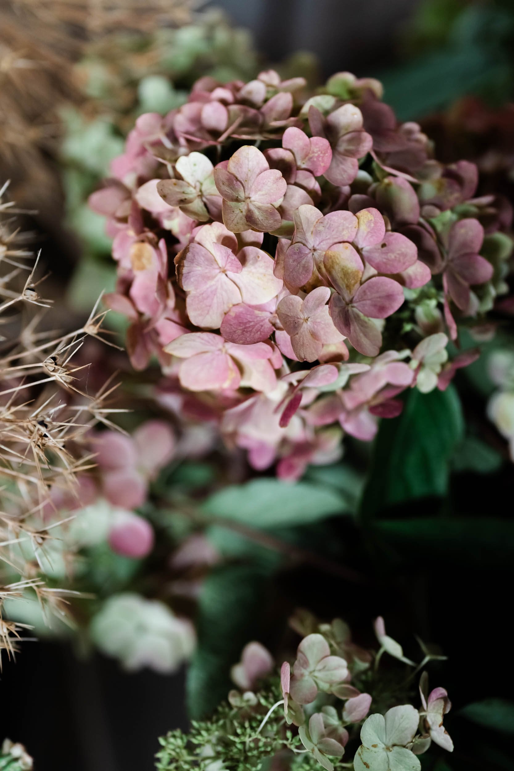dried flowers
