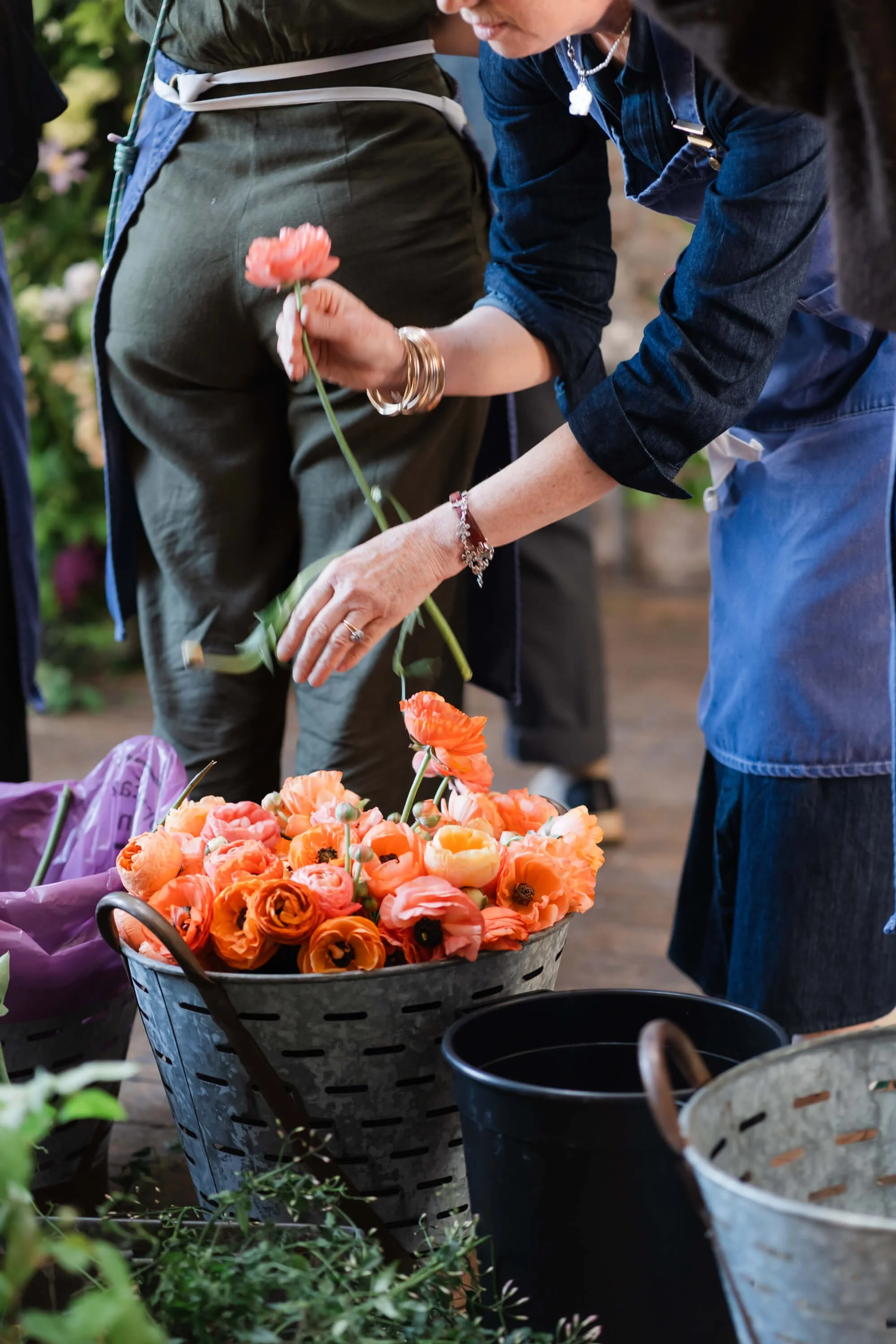 florist-taking-flower-out-of-bucket.jpg
