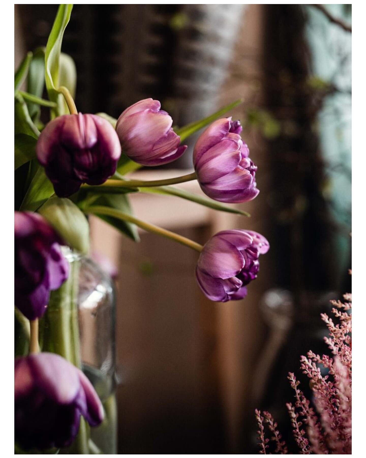 Beauty in the everyday &hearts;️
Happy Easter 💫
.
Tulips @thebathflowerschool 
.
#natureinbloom #floraldelight #flowerlovers #flowerpower #capturingseasonalmoments #justbefloral #floralstories #slowfloralstyle
#naturelovers #naturebrilliance #justbe