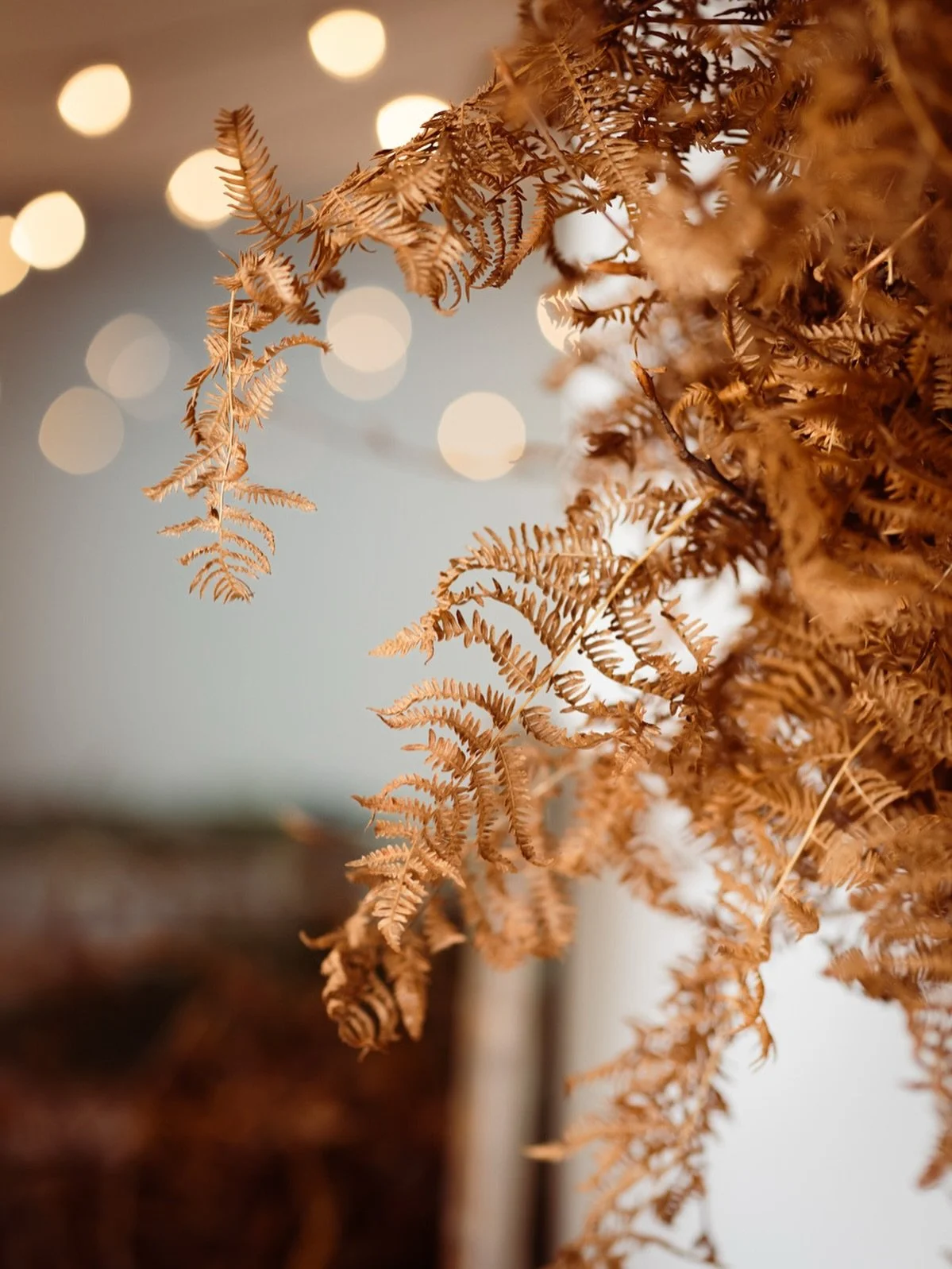 Curly foliage, soft light and the warmest welcome for my final shoot with @thebathflowerschool this year 💛
.
Thank you to everyone who has booked me as their photographer, stayed at Wild Meadow, or simply cheered me on during rainy holidays and Chri