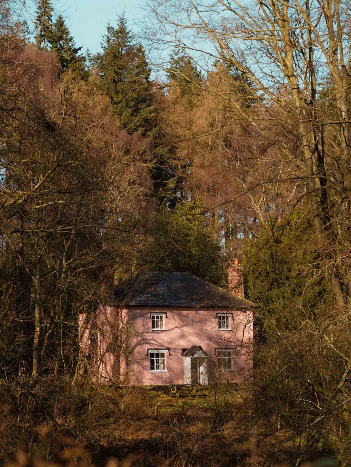 Went out to photograph snowdrops, but a pink cottage stole the show 😅 
🚪🏠