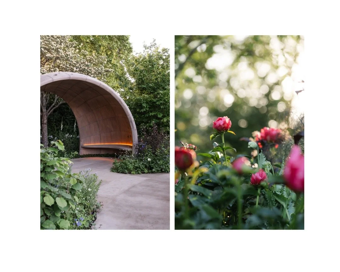 A few early morning moments in the beautiful @parkinsonsuk &ndash; A Garden for Every Parkinson&rsquo;s Journey, designed by the fabulous @aritanderson 

Before the crowds arrived and before the press day began, the garden felt so still &mdash; full 