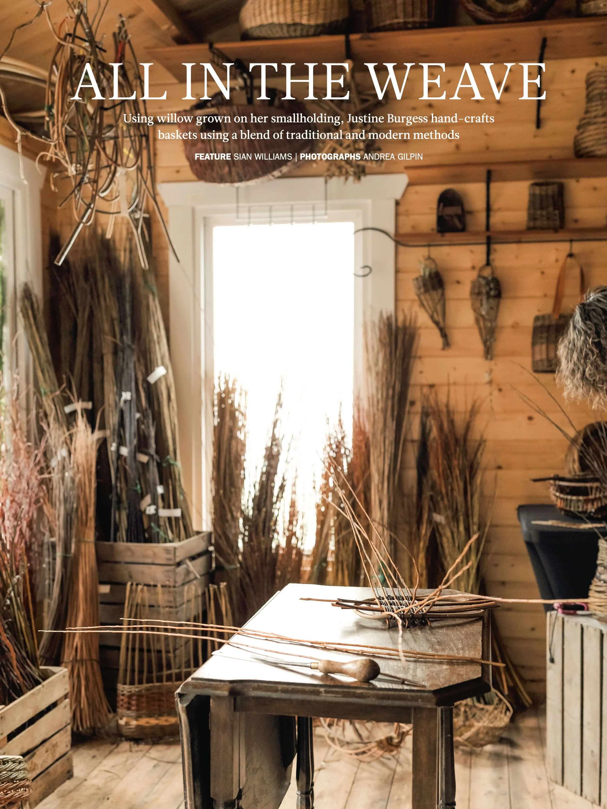 willow-weaver-Justine-Burgess-studio.jpg