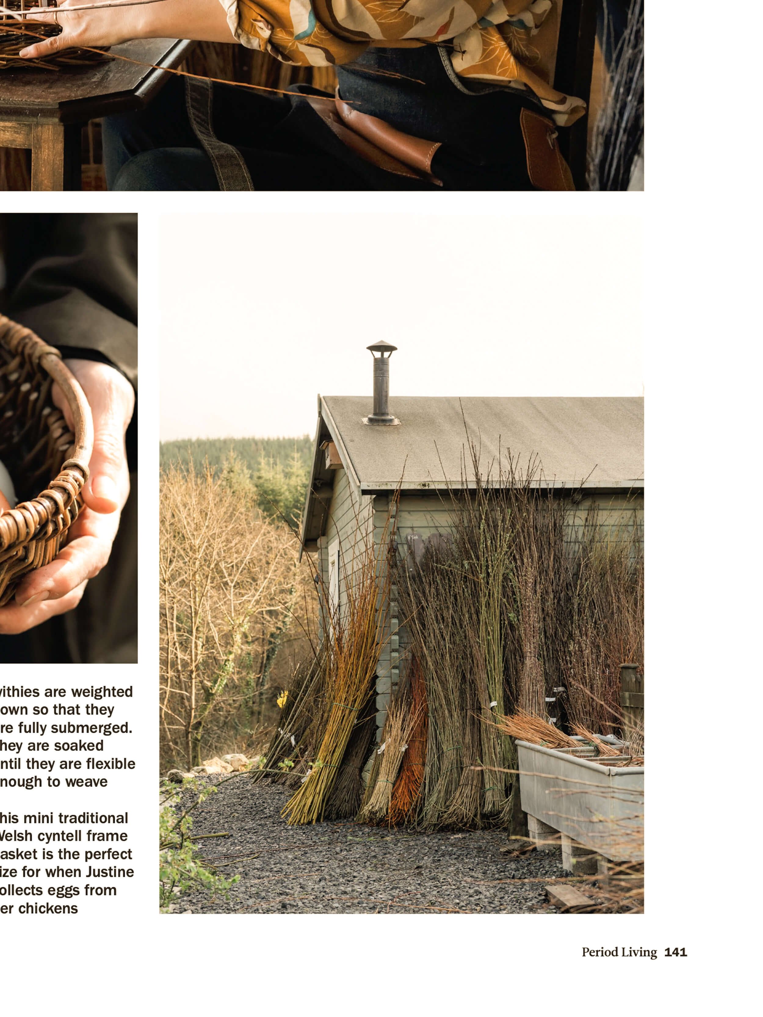 willow-weaver-Justine-Burgess-studio-cut-willow.jpg