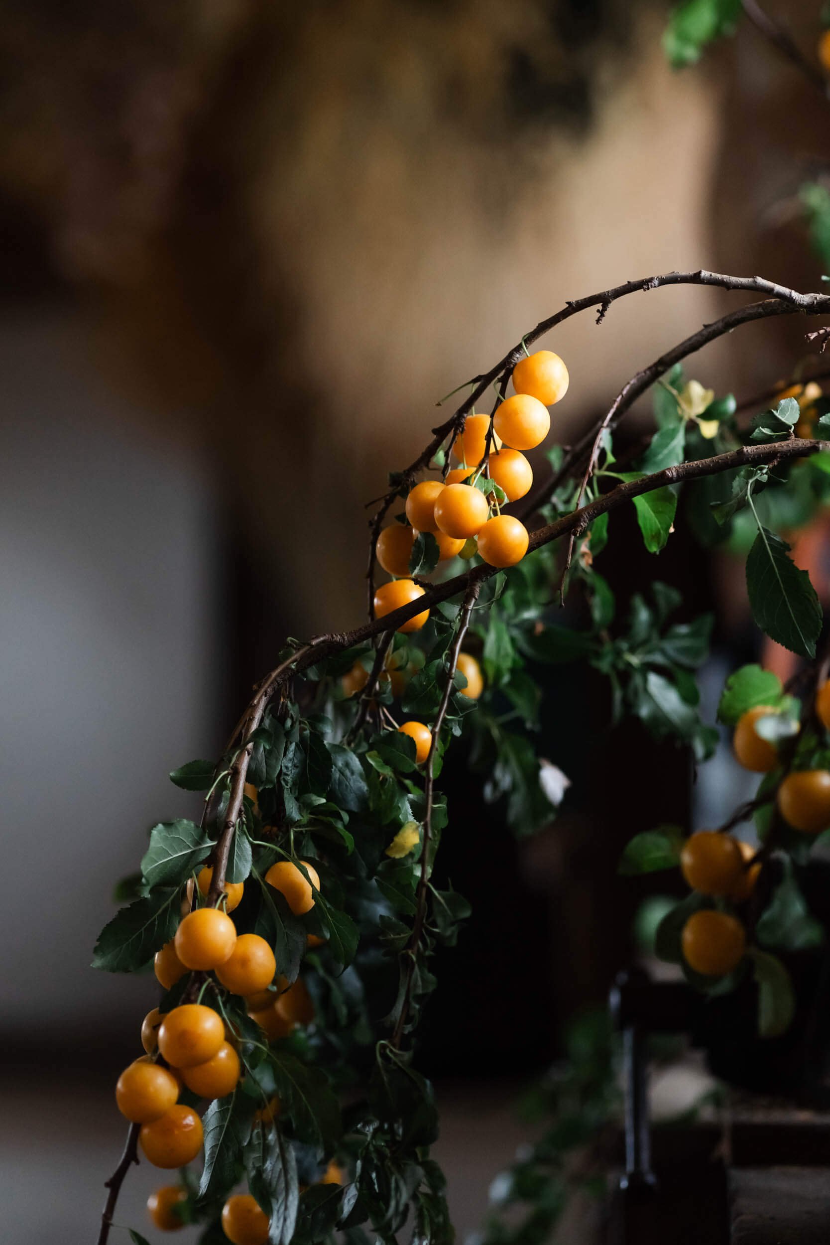 berries