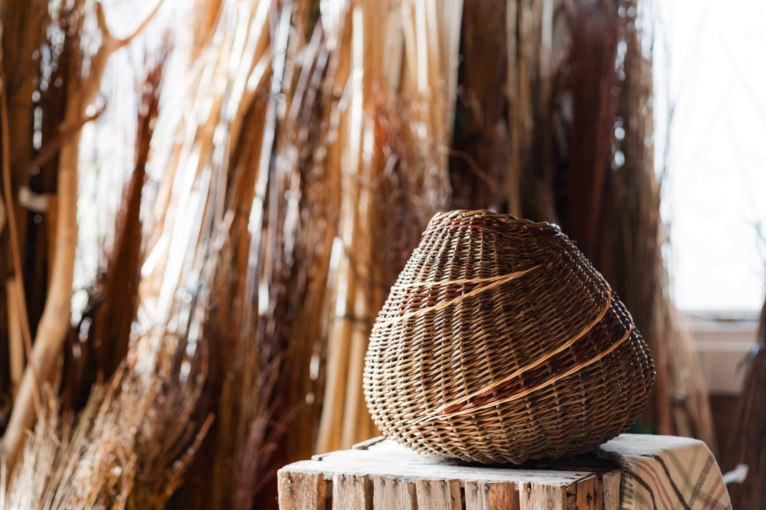 willow basket with different types of willow in background