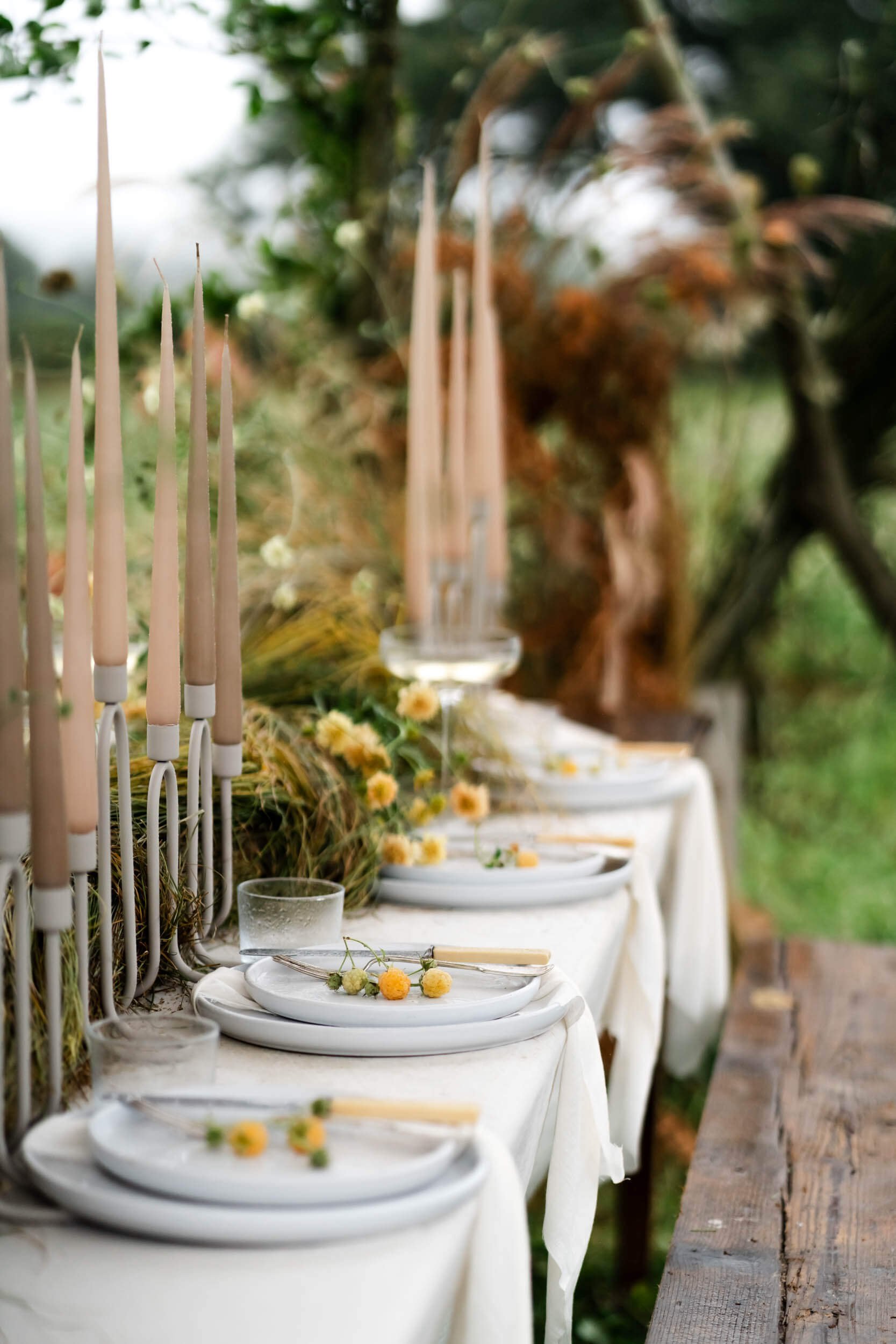 table in meadow set up for a wedding