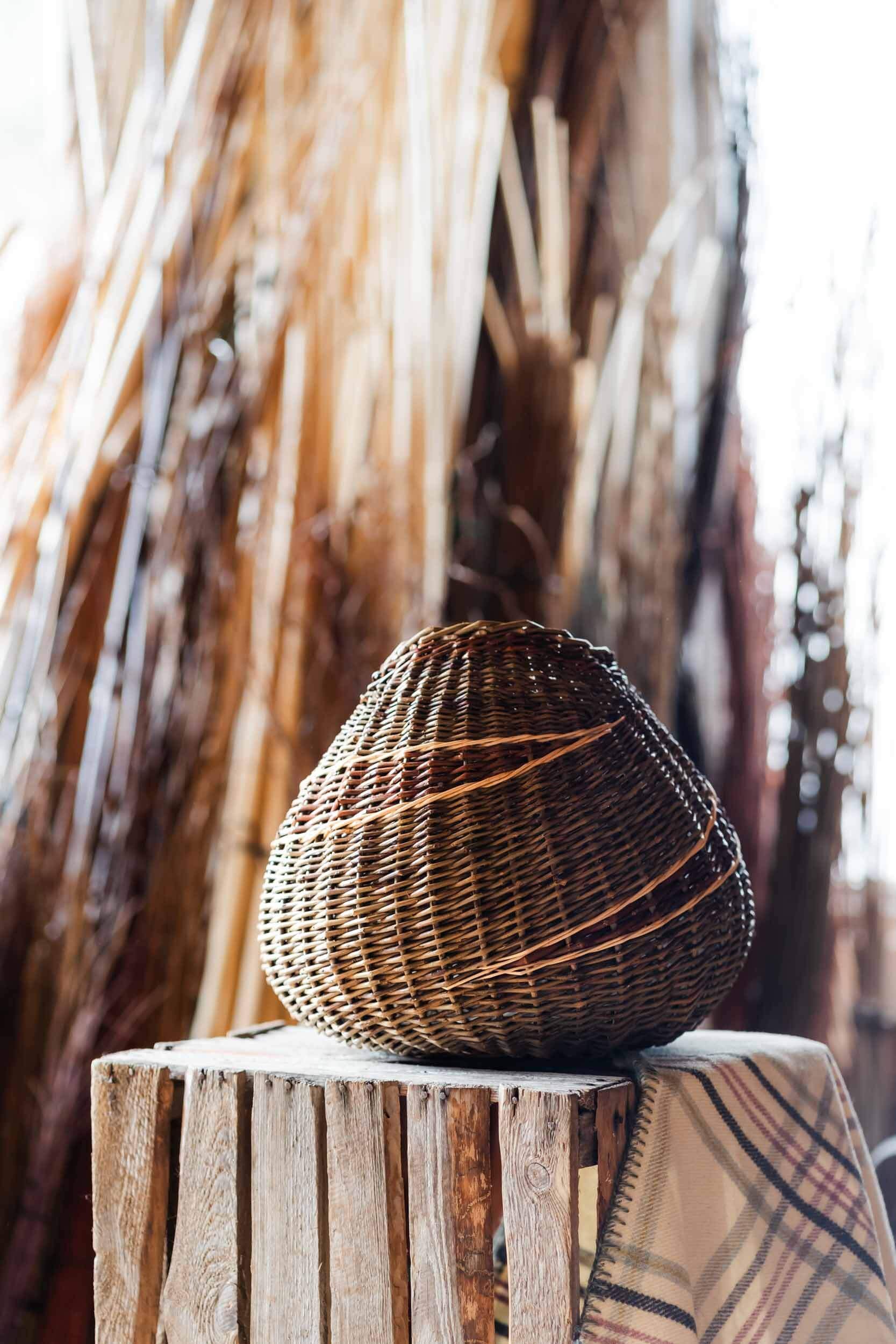 willow basket with different types of willow in background