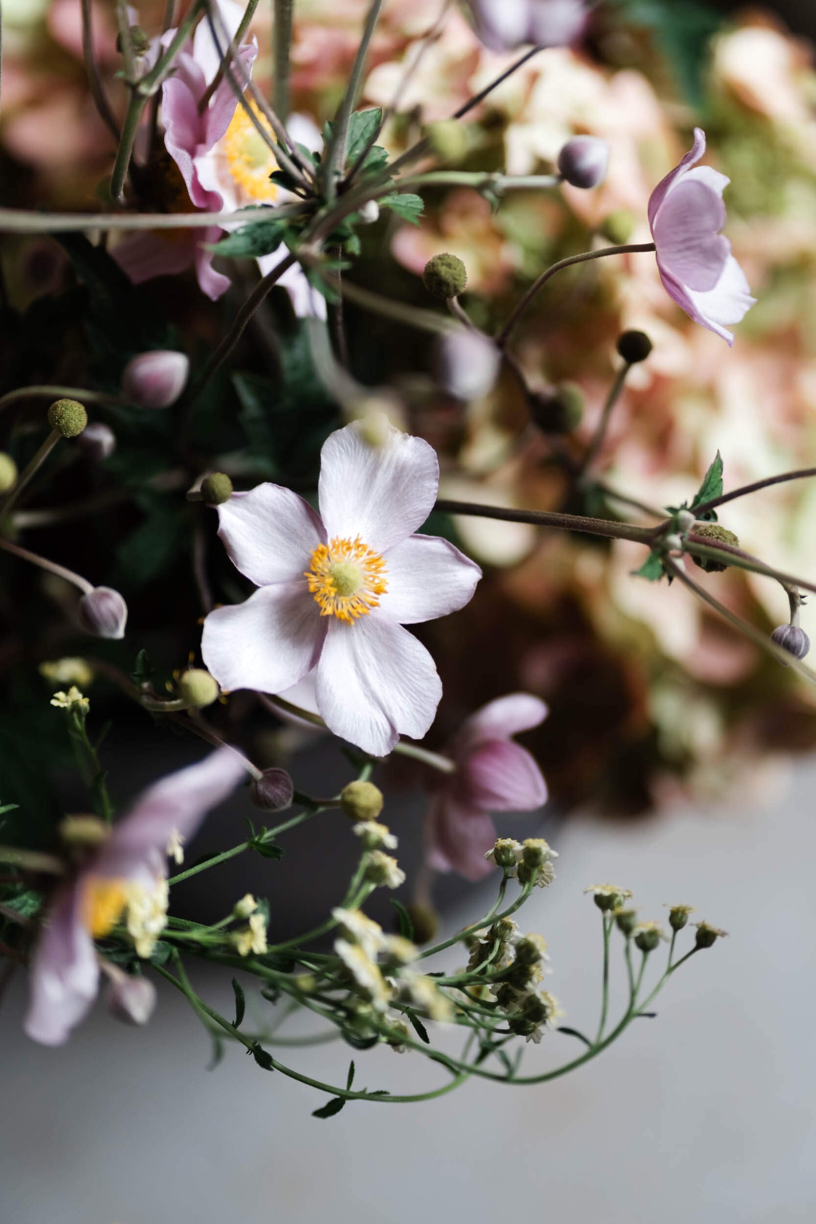 flowers in a bunch