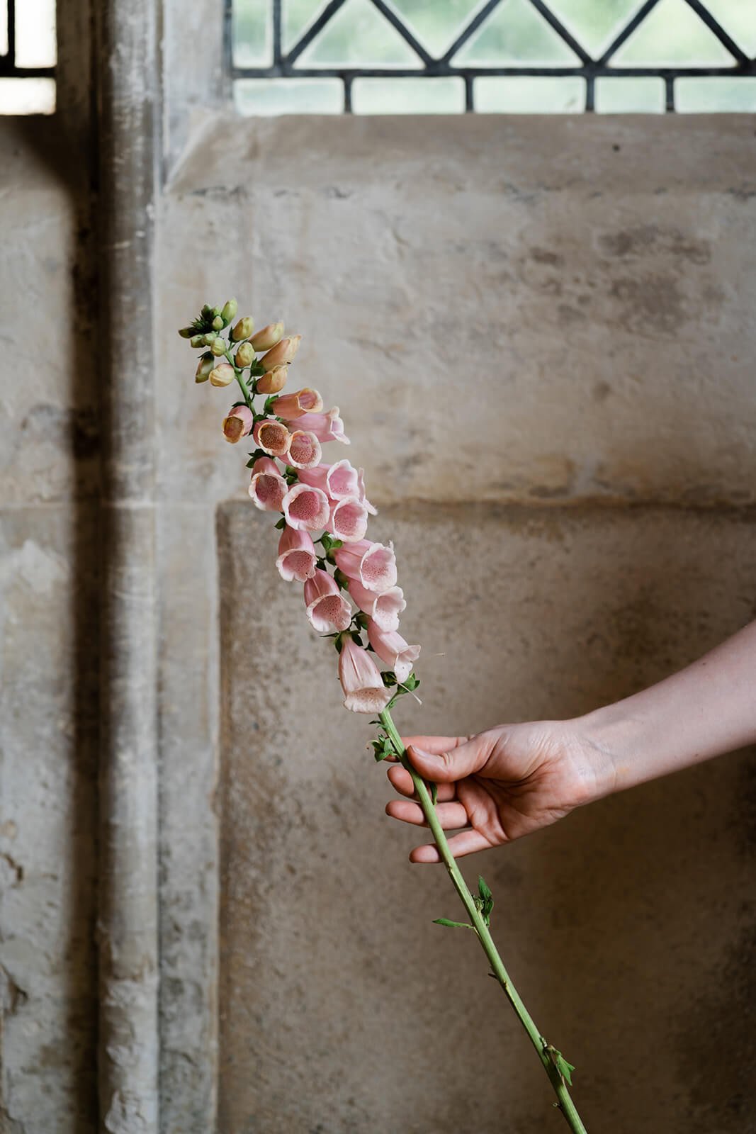 foxglove-florals.jpg